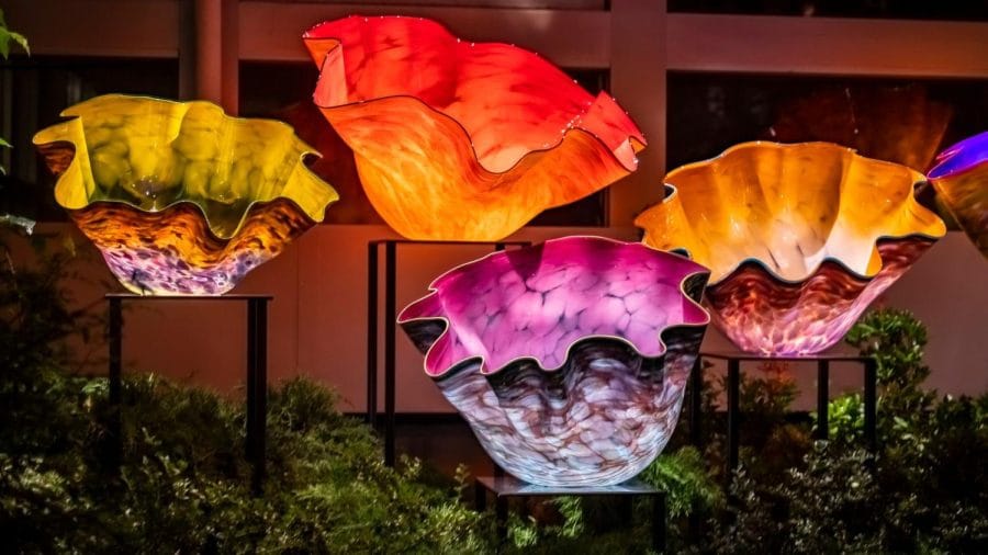 Dale Chihuly A Symphony of Glass Mastery and Artistic Innovation